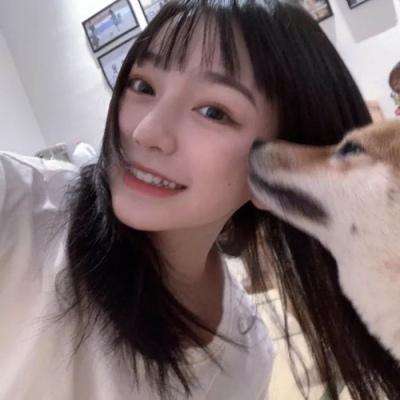 战龙城手机版下载